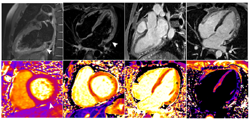 Image source: Pinho et al. (2022)